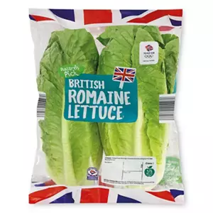 British Romaine Lettuce