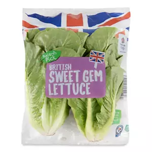 British Sweet Gem Lettuce
