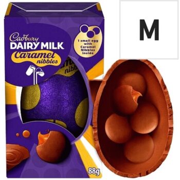 Cadbury Dairy Milk Caramel Nibbles Shell Egg (88g)