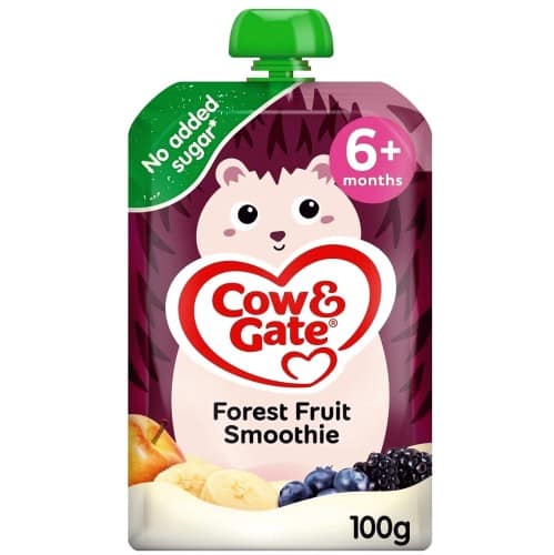 Cow & Gate Fruit Pouch Forest Fruit Baby Food Snack 6+ Months (100g)