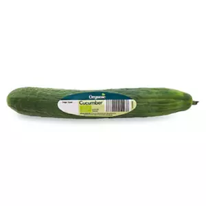 Cucumber
