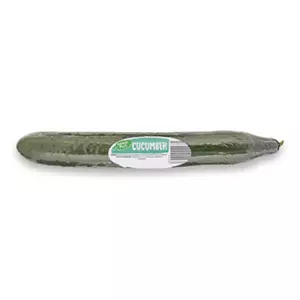 Cucumber