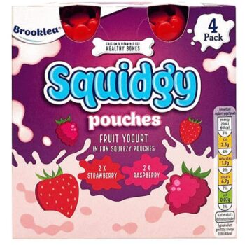Fruit Yogurt Squidgy Pouches (4)
