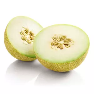 Galia Melon