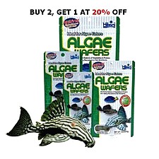 Hikari Algae Wafer Fish Food (82g)