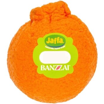 Jaffa Banzzai Fruit Each