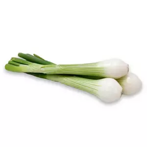 Jumbo Spring Onions