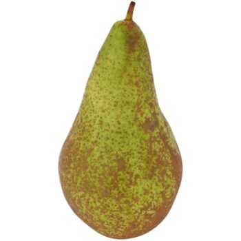 Large Conference Pears Class 1 Loose