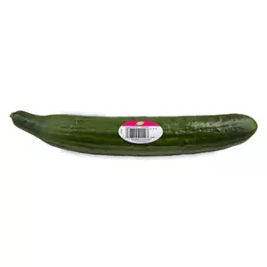 Large Cucumber