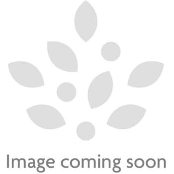 Morrisons Festive Cheese Selection Platter