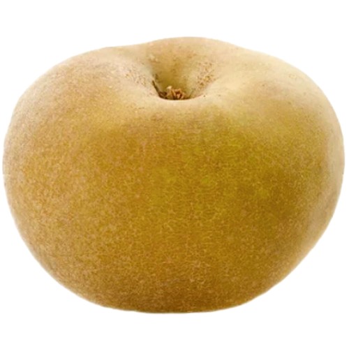 Morrisons Loose Russet Apple