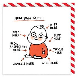 New Baby Guide Funny Humour Greeting Card