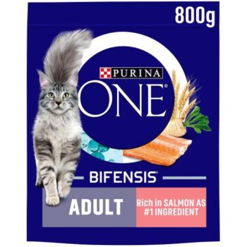 Purina ONE Adult Dry Cat Food with Salmon & Wholegrain Rich in (800g)