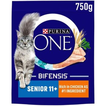 Purina ONE Senior 11+ Dry Cat Food Chicken & Whole Grain (750g)