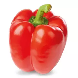 Red Pepper