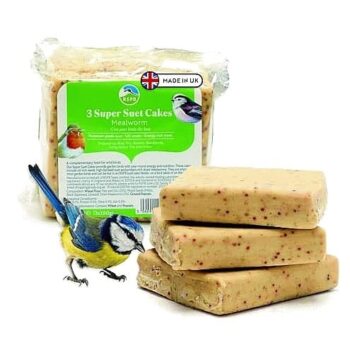 Rspb Mealworm Super Suet Cake Wild Bird Food (3 x 280g)