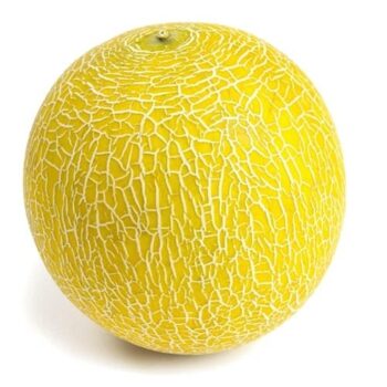 Sainsbury's Galia Melon