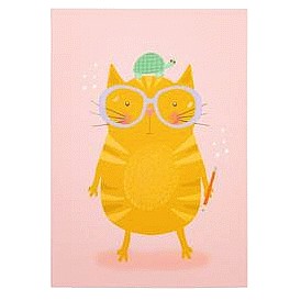 Sainsbury's Home A5 Cat Notebook