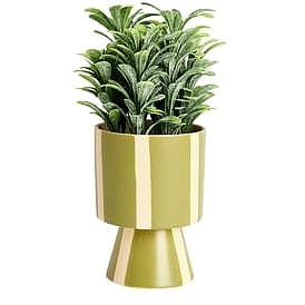 Sainsbury's Home Artificial Plant in Green Stripe Pot