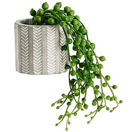 Sainsbury's Home Artificial String of Pearls Succulent in Cement Pot