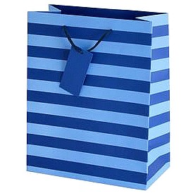Sainsbury's Home Blue Stripe Large Bag