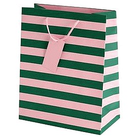 Sainsbury's Home Green & Pink Stripe Large Bag