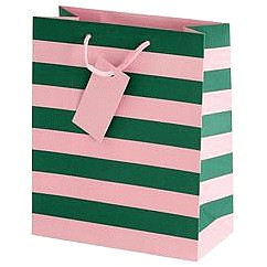 Sainsbury's Home Green & Pink Stripe Medium Bag