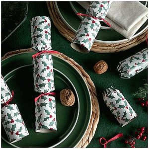 Sainsbury's Home Holly Cracker Cube (12)