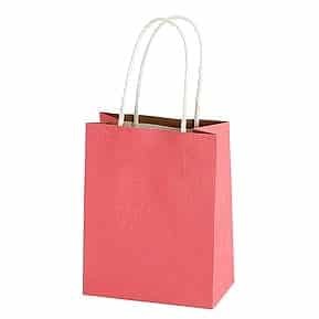 Sainsbury's Home Pink Mini Papertwist Bag