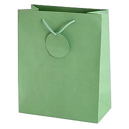 Sainsbury's Home Plain Colour Large Bag