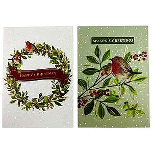Sainsbury's Home Robin & Foliage Multipack Card (10)