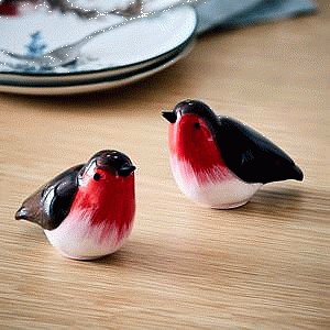 Sainsbury's Home Robin Salt & Pepper Shakers