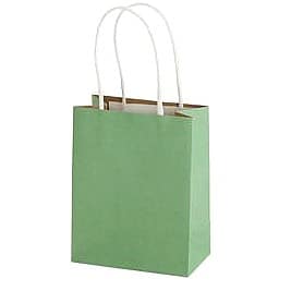 Sainsbury's Home Sage Green Mini Papertiwst Bag