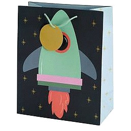 Sainsbury's Home Space Dino Large Bag