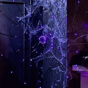 Sainsbury's Home String Light Spiders Web