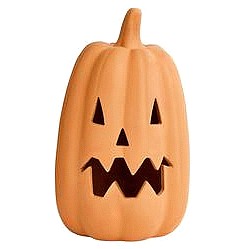 Sainsbury's Home Terracotta Pumpkin