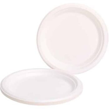 Sainsbury's Home Ultra Strength Bagasse Plates (10)