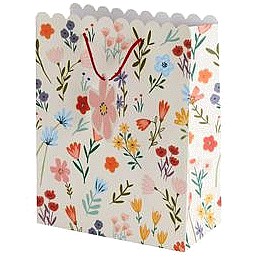 Sainsbury's Home Wild Flowers Large Bag