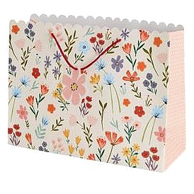 Sainsbury's Home Wild Flowers XL Bag