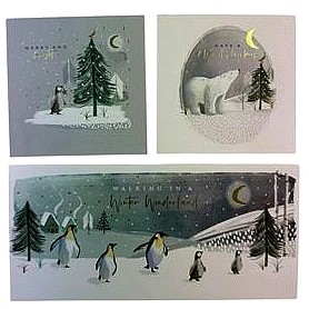 Sainsbury's Home Winter Scene Multipack Card (20)