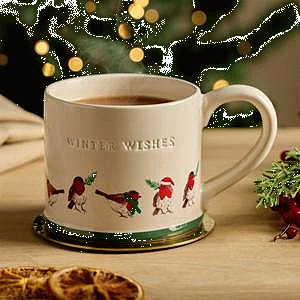 Sainsbury's Home Winter Wishes Robin Mug