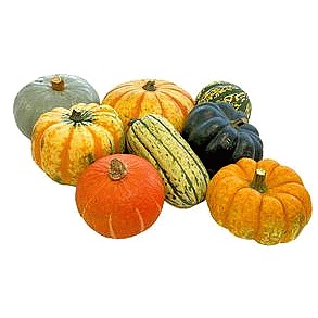 Sainsbury's Mixed Squash Single