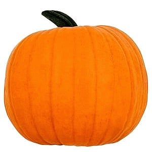 Sainsbury's the Big Orange Giant Pumpkin