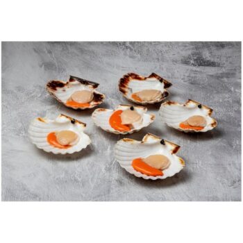 Sound Seafood Half Shell British King Scallops (6 x 475g)