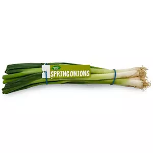 Spring Onions