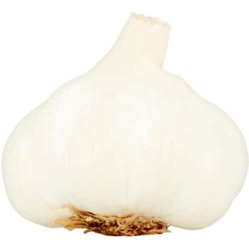 Tesco Large Garlic