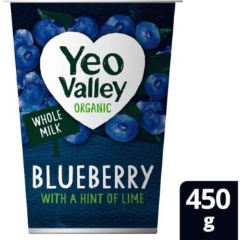 Yeo Valley Organic Blueberry & Lime Yogurt (450g)