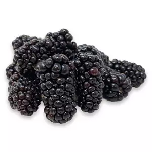 British Blackberries