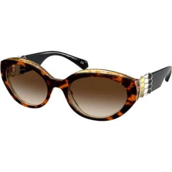 Bulgari Brown BV8227BF 55 548813 Fashion Sunglasses