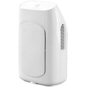 Daewoo Dehumidifier (2 Litre)